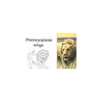 Przezwyciężanie wroga