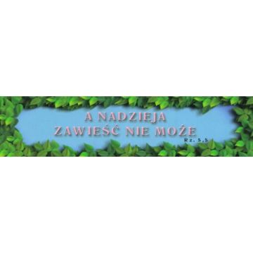 Zakładka promise - A nadzieja zawieść nie może