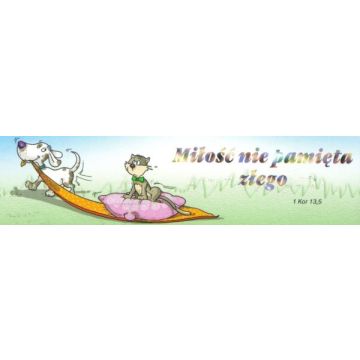Zakładka promise - Miłość nie pamięta złego
