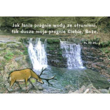 Naklejka prostokąt - Jak łania pragnie