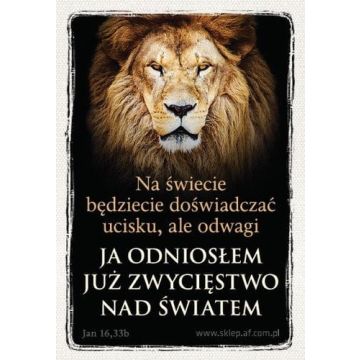 Magnes AF - Na świecie będziecie ...