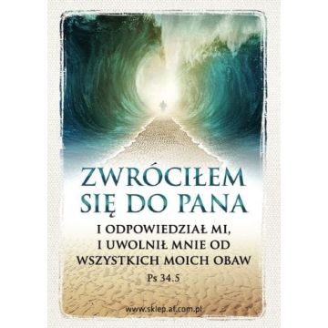 Magnes AF - Zwróciłem się do Pana