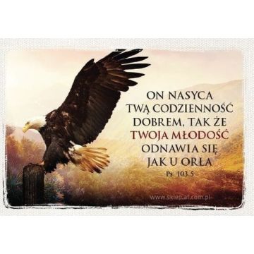 Magnes AF - On nasyca twą codzienność dobrem