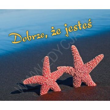 Perełka 248 - Dobrze że jesteś