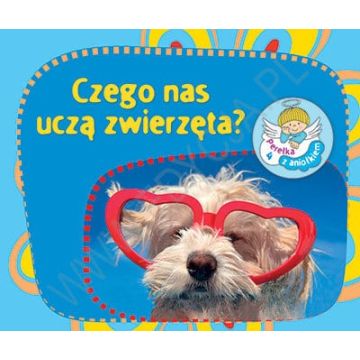 Perełka z aniołkiem - Czego uczą nas zwierzęta?