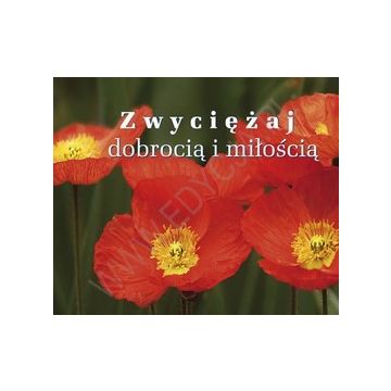 Perełka 193 - Zwyciężaj dobrocią