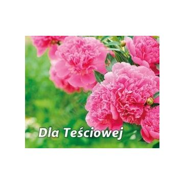 Perełka 269 - Dla Teściowej