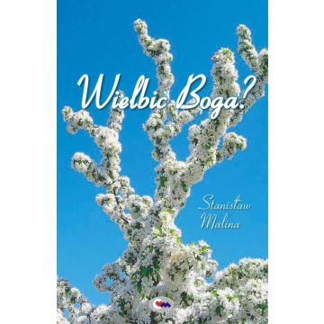 Wielbić Boga?