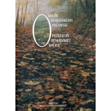 Okolice Przełęczy Beskidzkiej