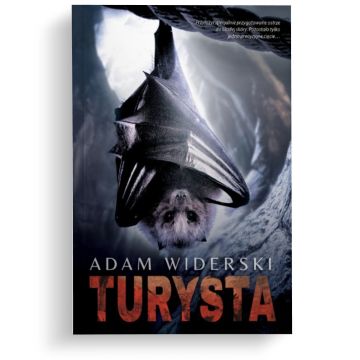 Turysta