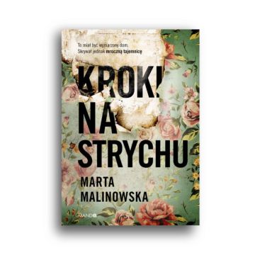 Kroki na strychu