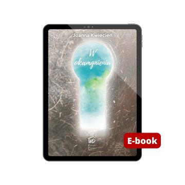 W okamgnieniu - E-book