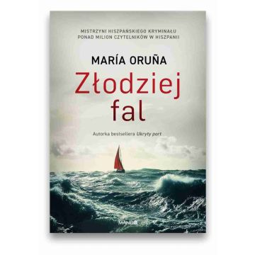 Złodziej fal