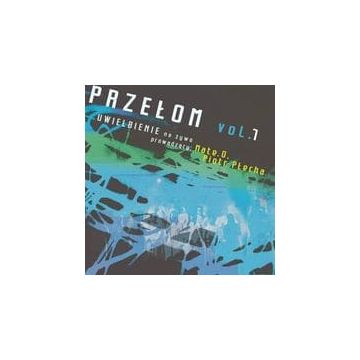 Przełom vol.1 -  Mate.O,  Piotr Płecha